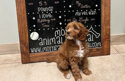 Autumn Lynn's X-Rated Secrets Revealed