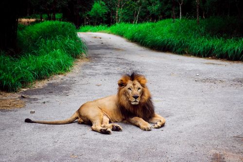 Eight 8 Number Design Collection Free Image From Needpix Com