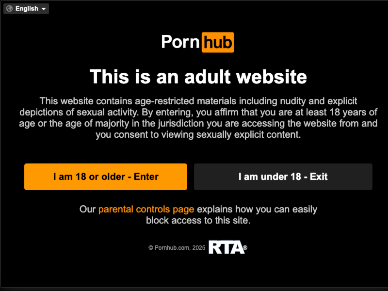 Is Pornhub Safe How To Browse Adult Websites Securely