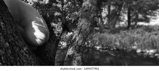 Naked Girl Outdoor Stock Photo Image Of Breast Erotic 83925386 Naked Girl Outdoor Stock Photo Image Of Breast Erotic 83925386