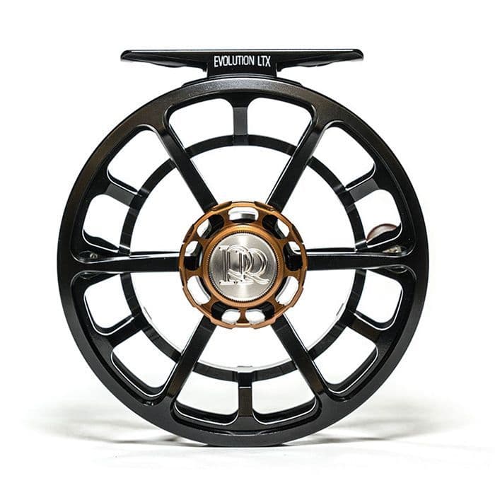 What Is Evolution B P